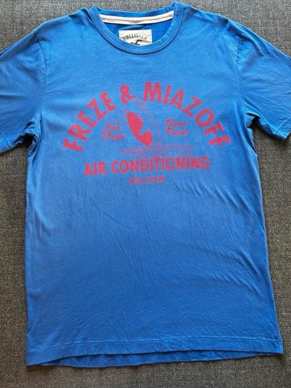 Hollister Mens Funny Humor Tee